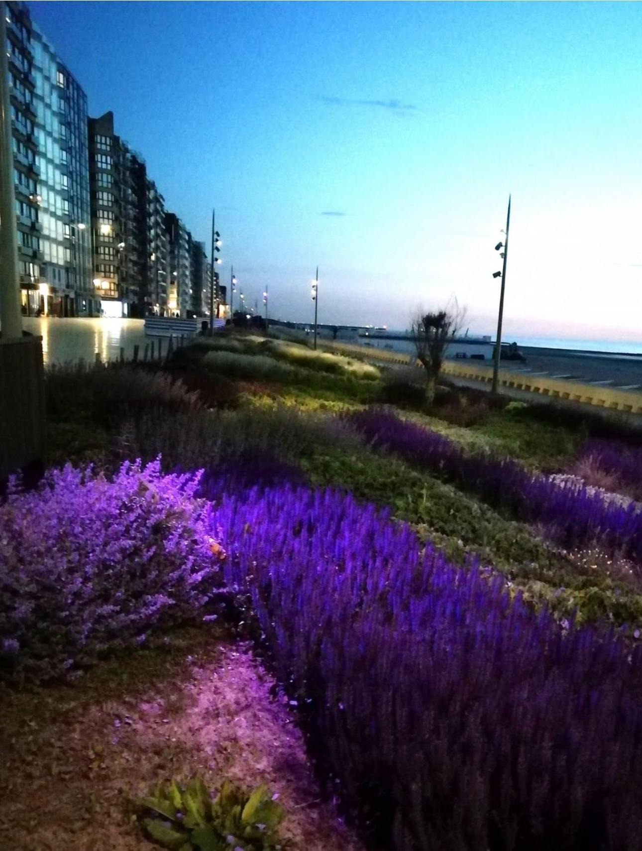 West-End Beach Middelkerke Bagian luar foto